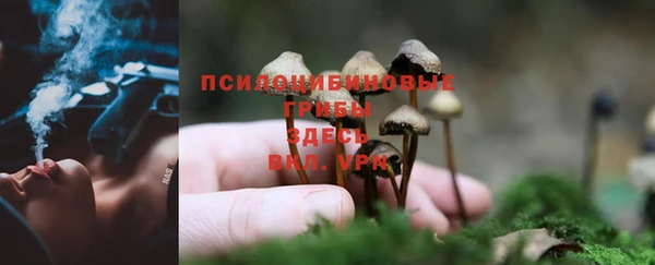 крисы Алексеевка