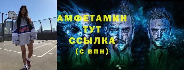 метадон Алексин