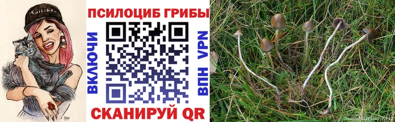 Галлюциногенные грибы MAGIC MUSHROOMS  магазин    Долгопрудный 