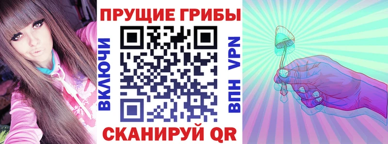 Псилоцибиновые грибы мицелий Долгопрудный
